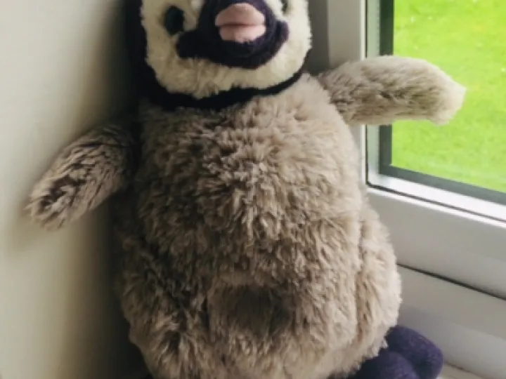 soft toy