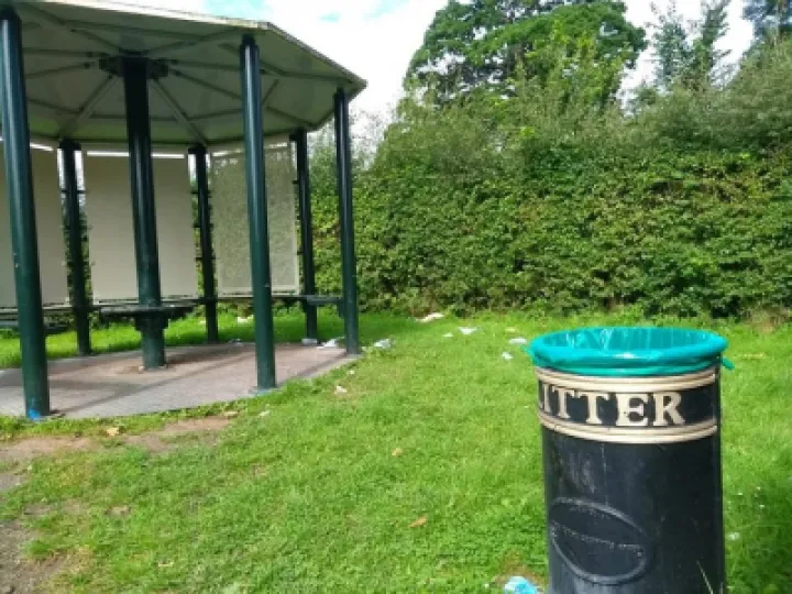 Litter 1
