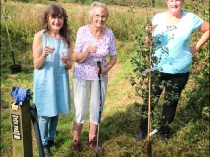 Celebrate the planting of the first tree &ndash; Sept 2020