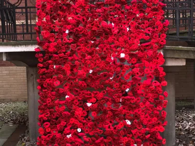 Central poppies