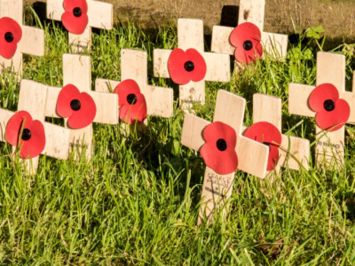 George Morgan poppy