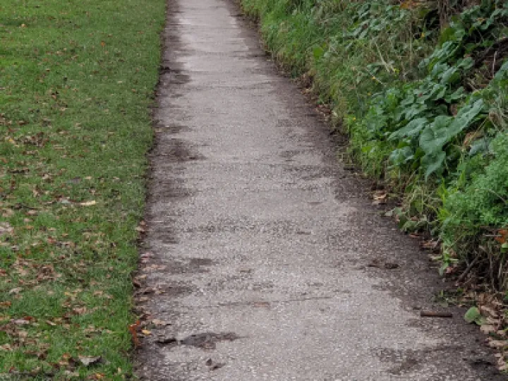 Path 1