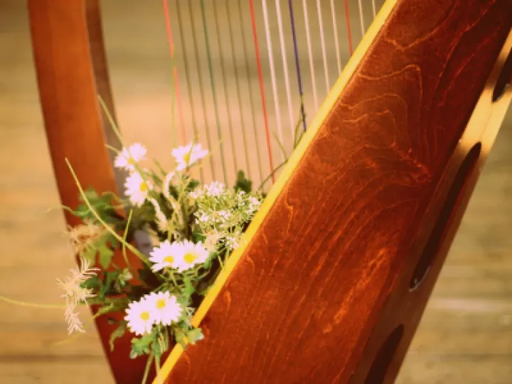 Harp