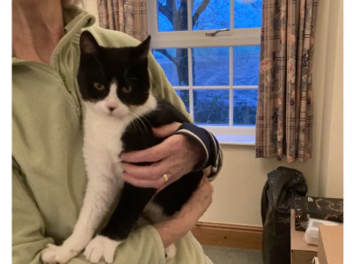 cat janet