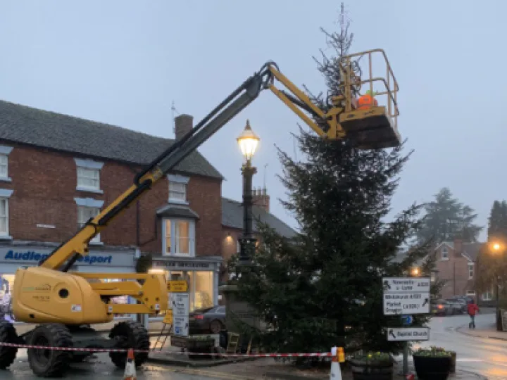 BIG TREE DRESSING