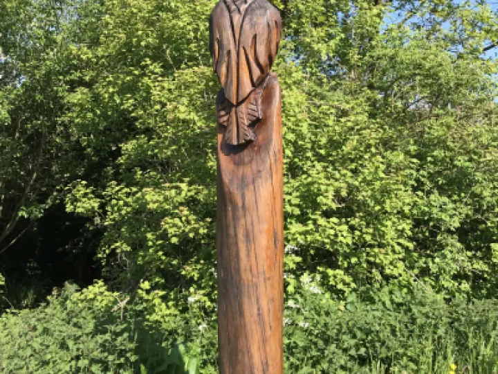 Buzzard June 21