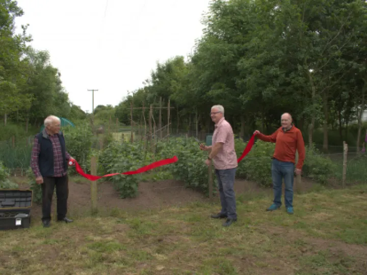 allotment 1