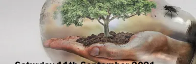 Synod Climate change