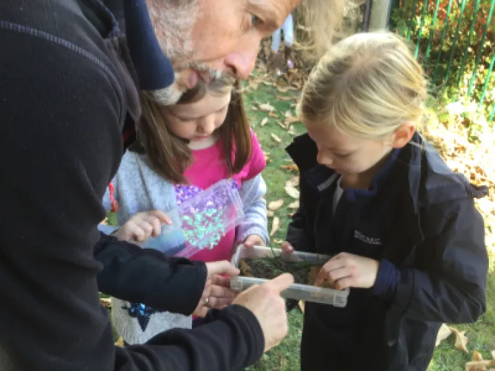 Minibeasts