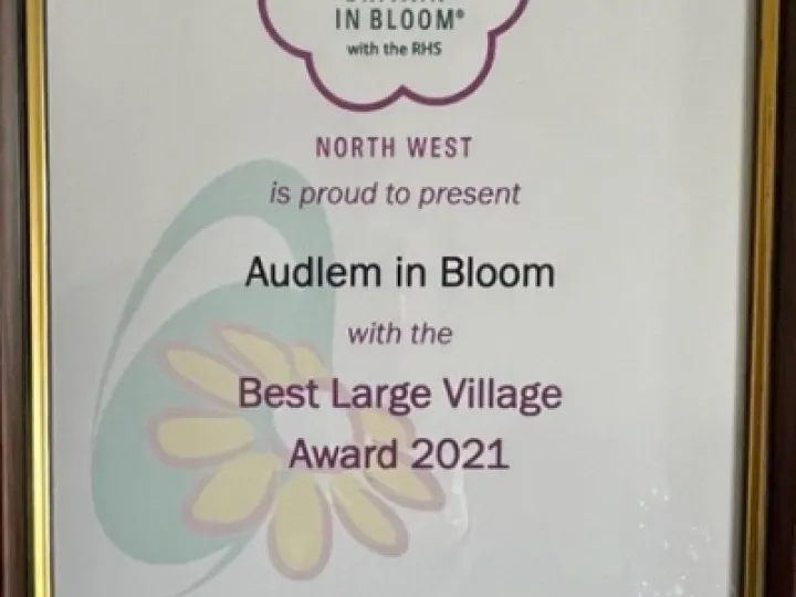 Best Large Village