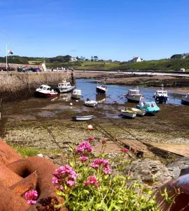 Cemeas Bay