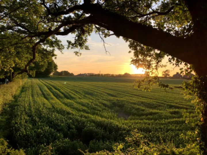 Walton sunset