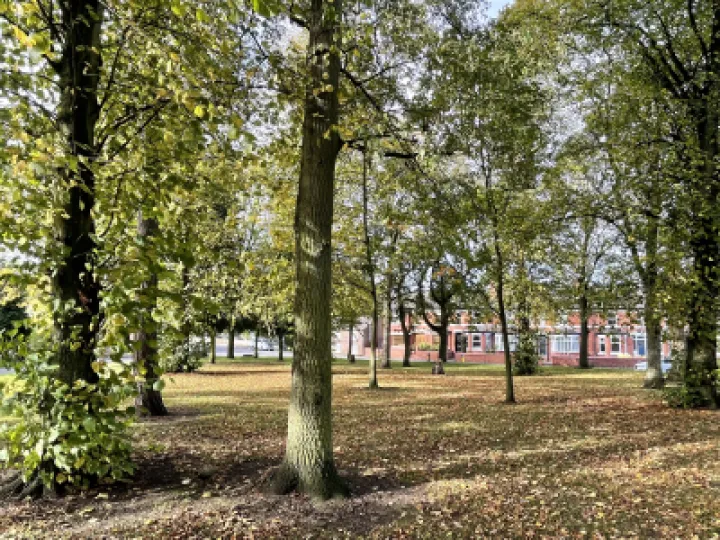 Lower Walton green