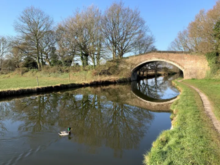 Canal at Thomasons Bridge
