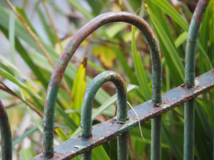 Photocomp6