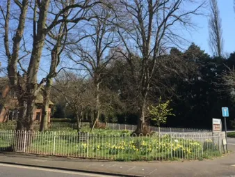Higher Walton triangle