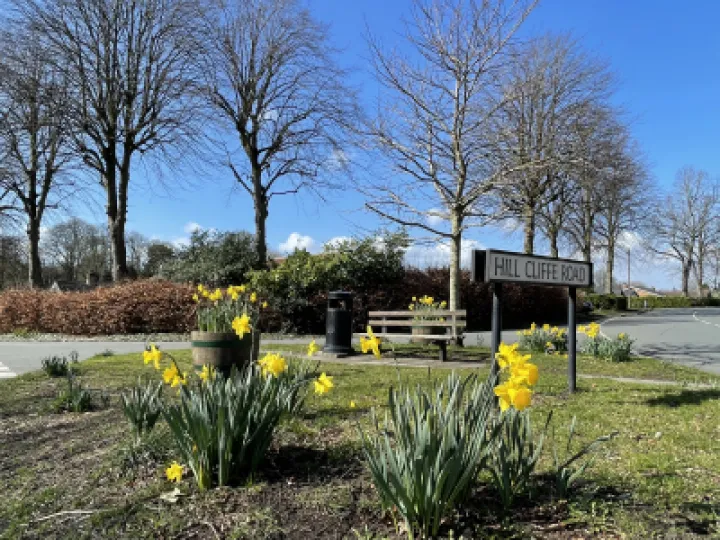 Springtime in Lower Walton
