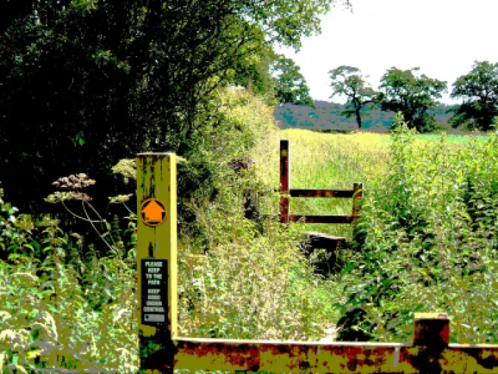 Footpath 2