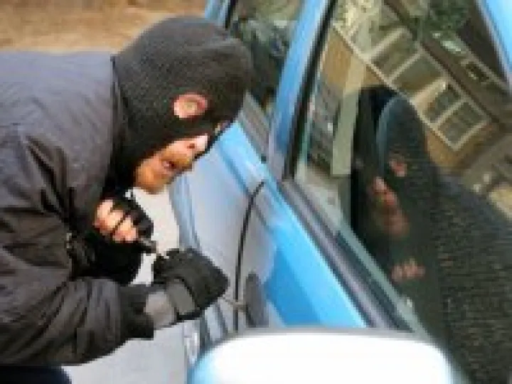 Car Thief 01