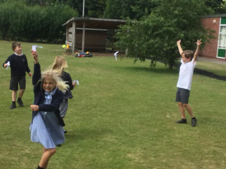 Seed Dispersal 2