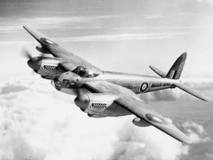 Mosquito_600pix