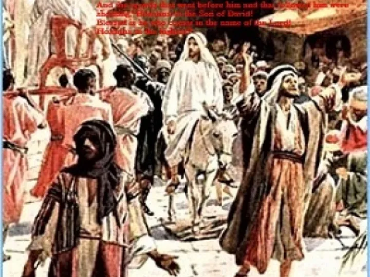 Palm Sunday 3