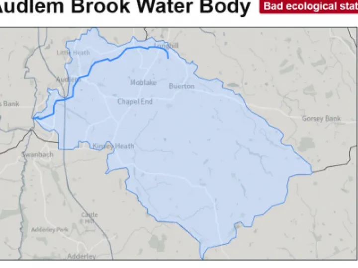 brook