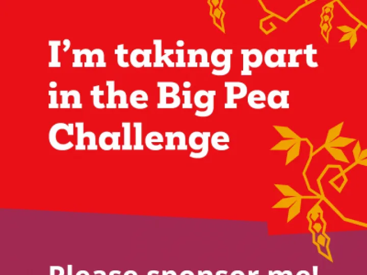 CAW Big Pea Image