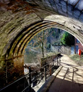 Durham 6