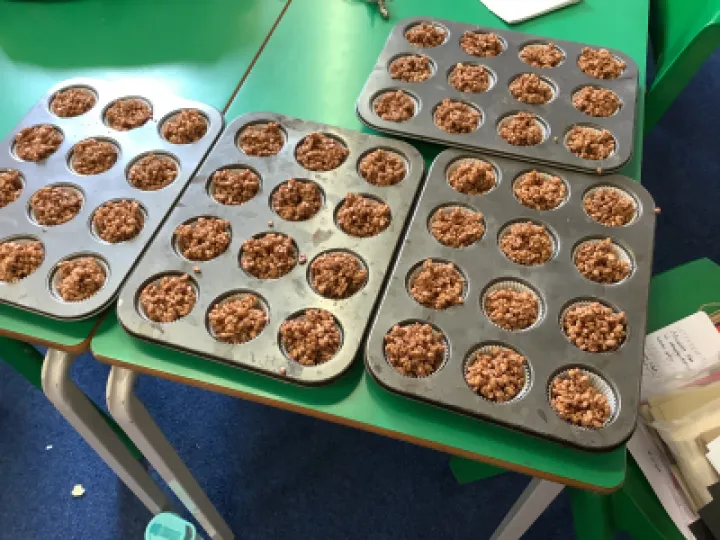 IMG_0095