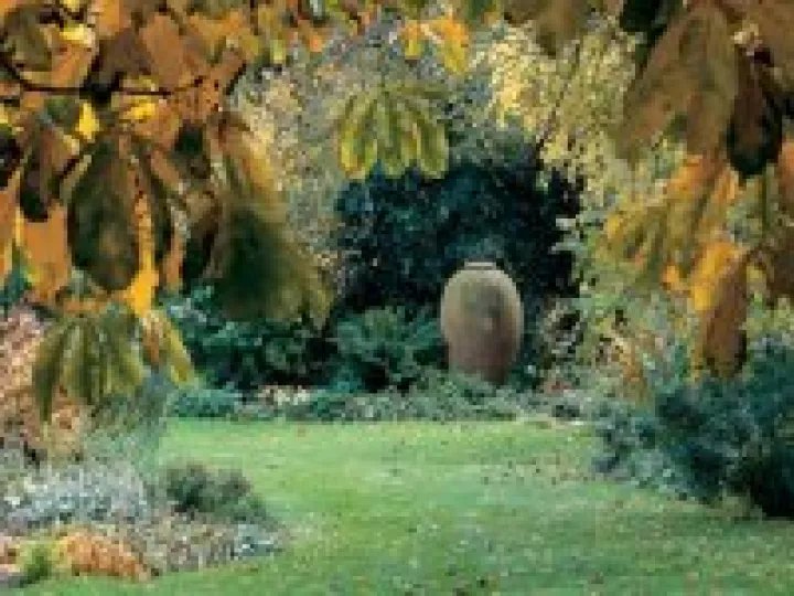 Turn End Autumn