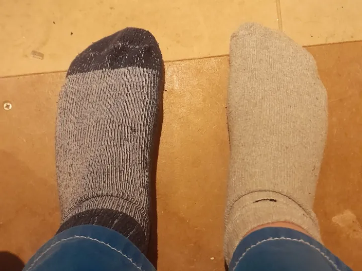 OddSocks2023a