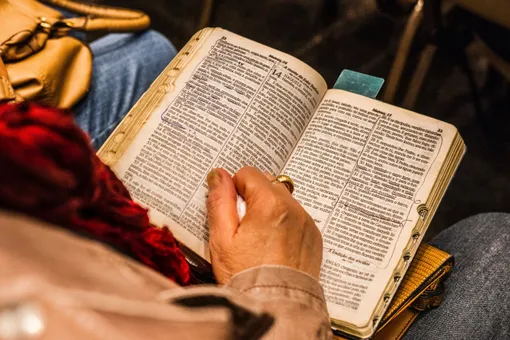 Person Holding Opened Book