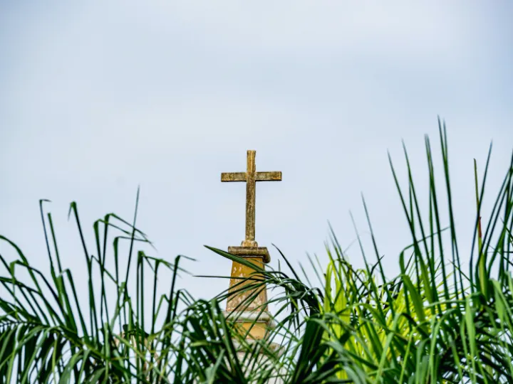 cross