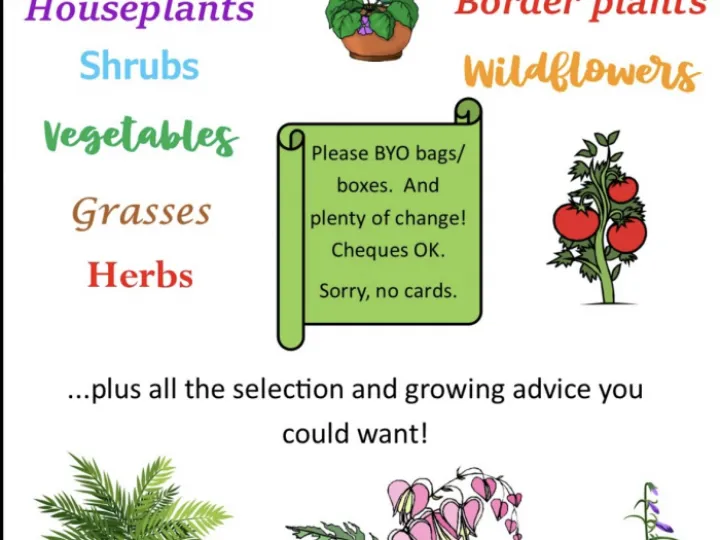 Plant sale