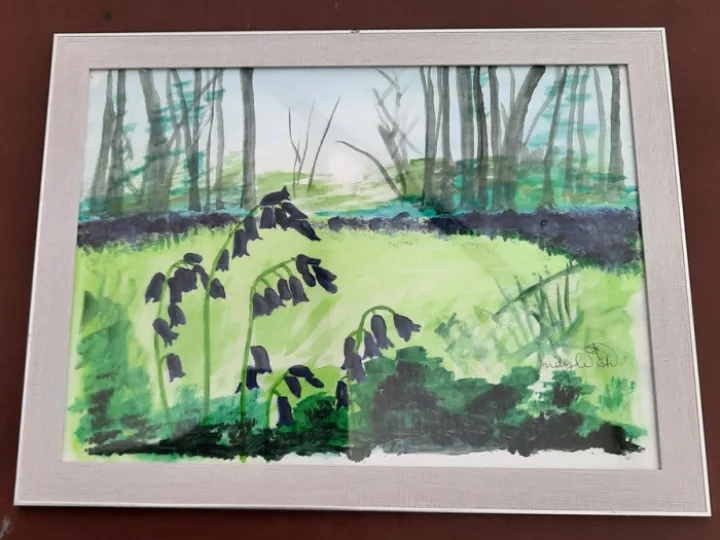 Bluebells