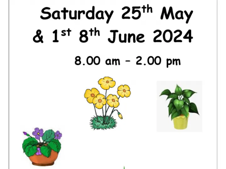 Plant Sale (Wesley)