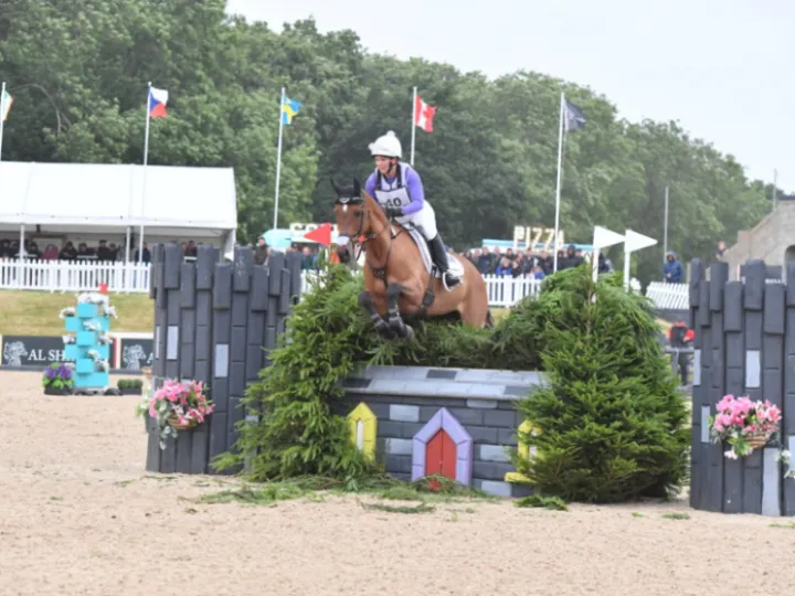 Bolesworth 1