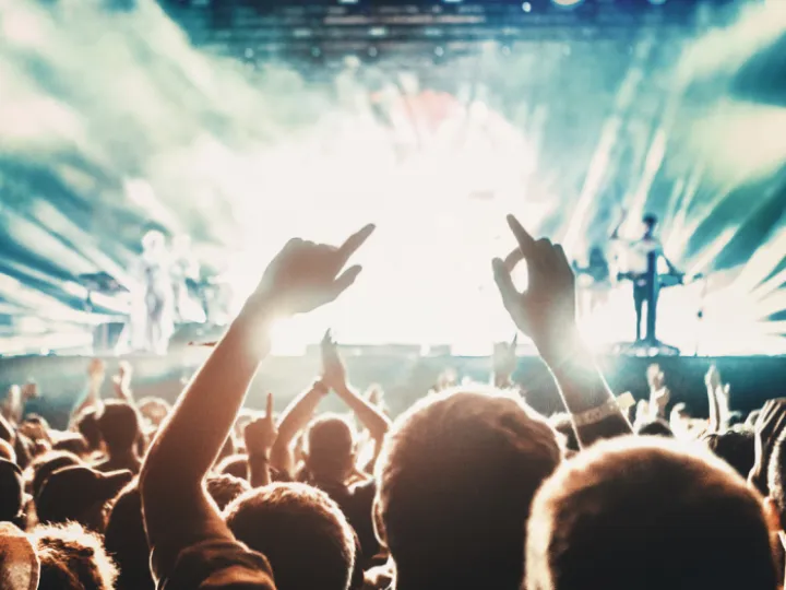 Fans in front of the stage at a rock concert