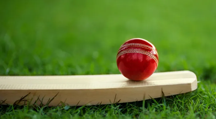 Cricket ball sitting on a cricket bat