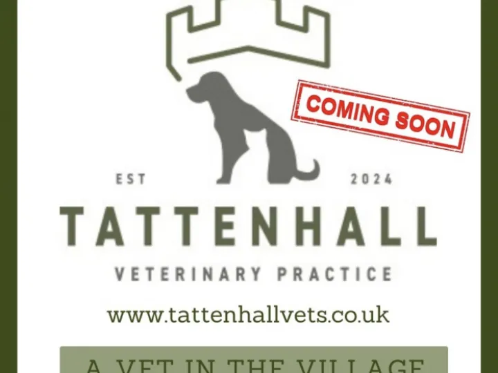 New. Vet