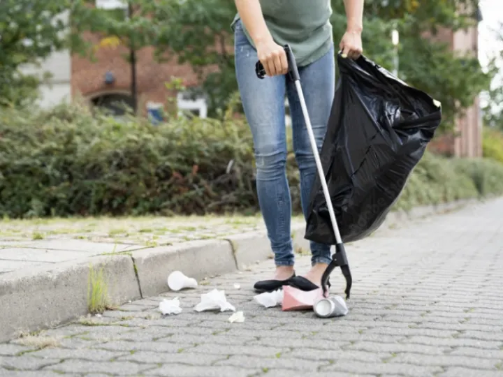 Litter Picker 2