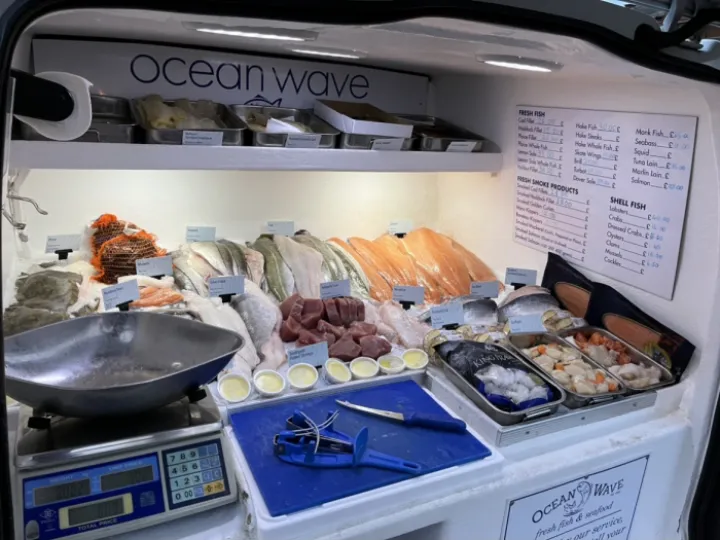 Oceanwave Fish