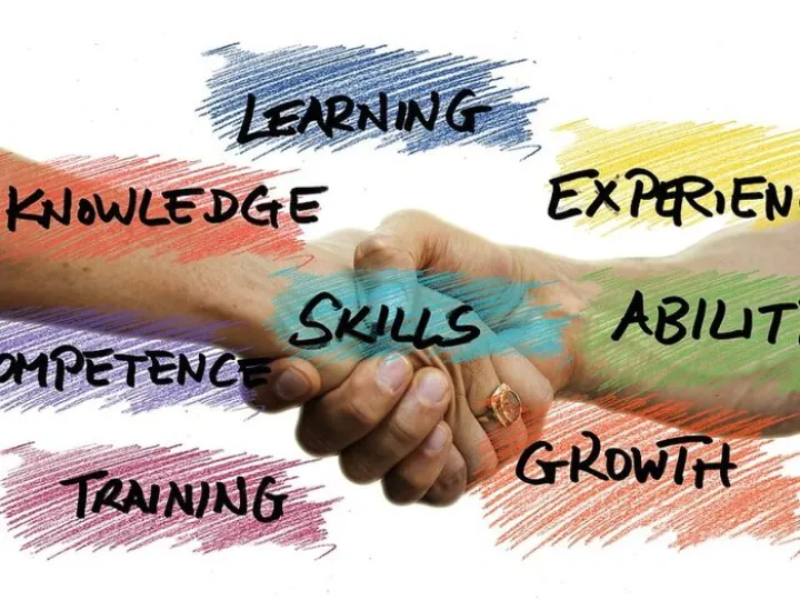 Skills, professional development, competence