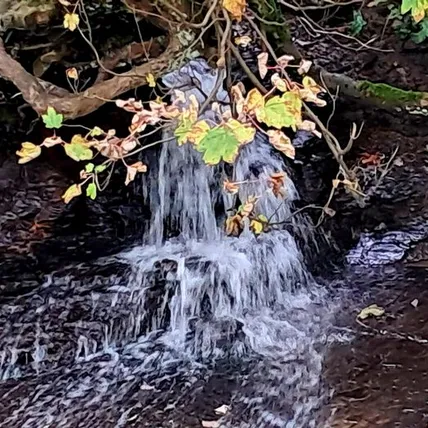20240928_132803