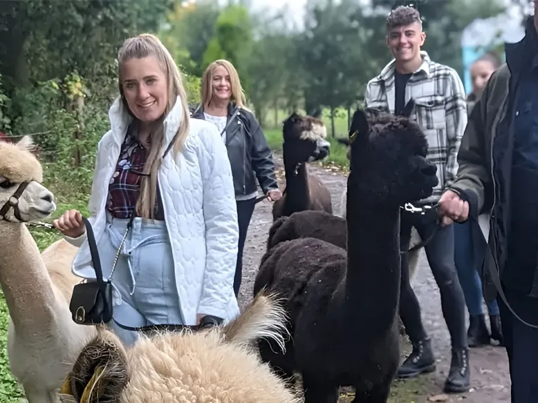 Alpaca Walk Talk 6