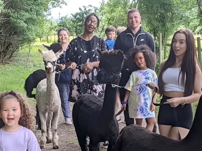 Alpaca Walk Talk 1