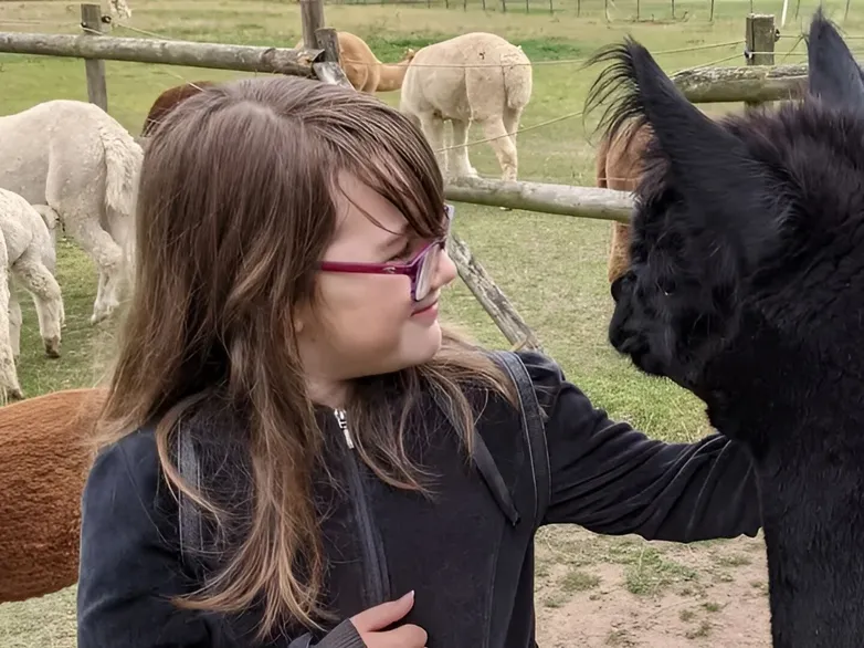 Alpaca Walk Talk 7