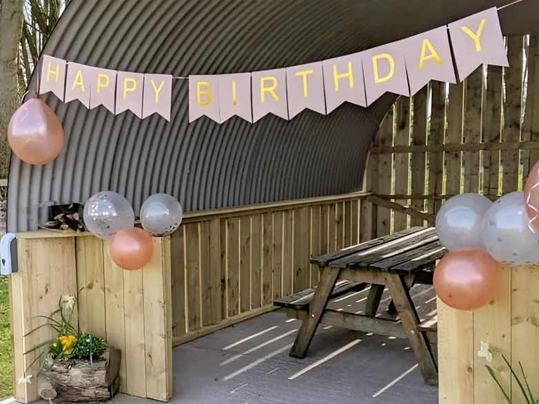 Alpaca Birthday Party 2