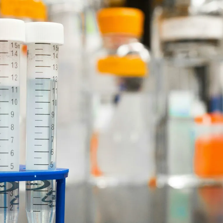 Two clear test tubes in a laboratory, essential for scientific research.